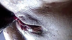 seducing,animal-porn